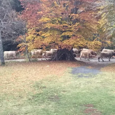 Lo Cantales D'aubrac Apartmán
