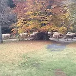 Lo Cantales D'aubrac Апартаменты