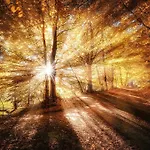 Апартаменты Lo Cantales D'aubrac Лайоль