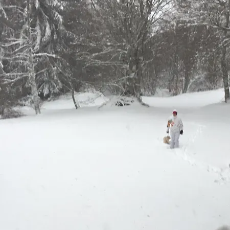 Lo Cantales D'aubrac Апартаменты Лайоль