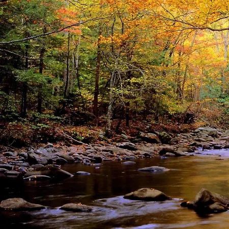 Lo Cantales D'aubrac Апартаменты *