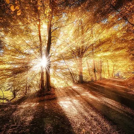 Апартаменты Lo Cantales D'aubrac Лайоль