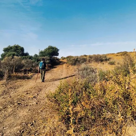 Lo Cantales D'aubrac * Лайоль